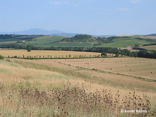 The Tuscan Countryside